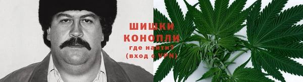 твердый Каменка