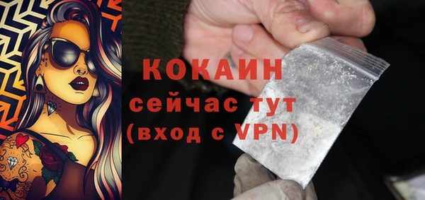 твердый Каменка
