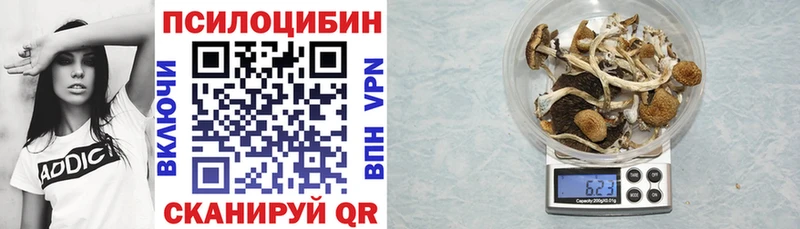 Галлюциногенные грибы прущие грибы  где можно купить   darknet как зайти  Чулым 